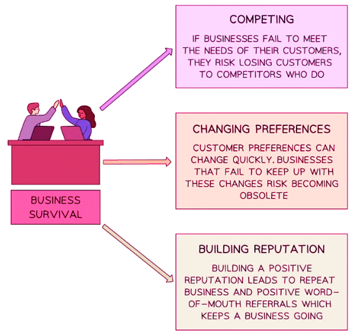 The Role of Marketing | Business Studies for GCSE/IGCSE - Class 10