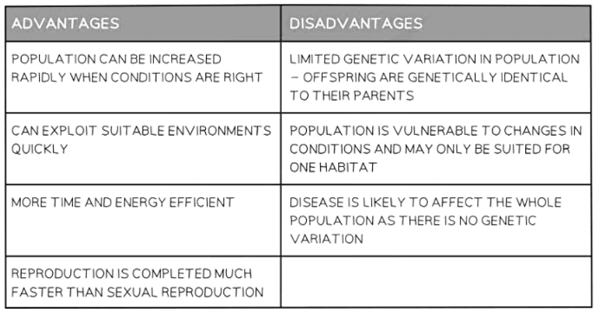 Asexual Reproduction | Biology for GCSE/IGCSE - Class 10