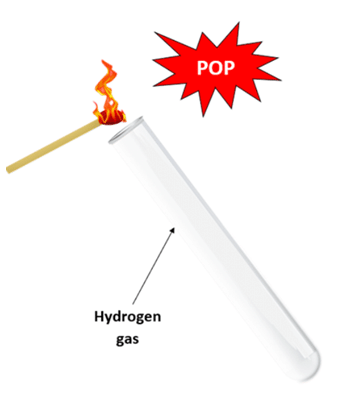 Electrolysis of Aqueous Sodium Chloride and Dilute Sulfuric Acid | Chemistry for GCSE/IGCSE - Class 10