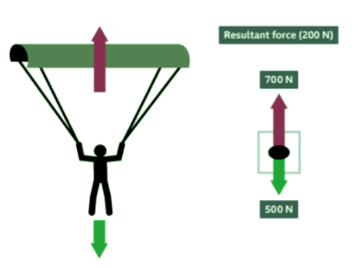 Force Diagrams and Resultant Forces - Year 7