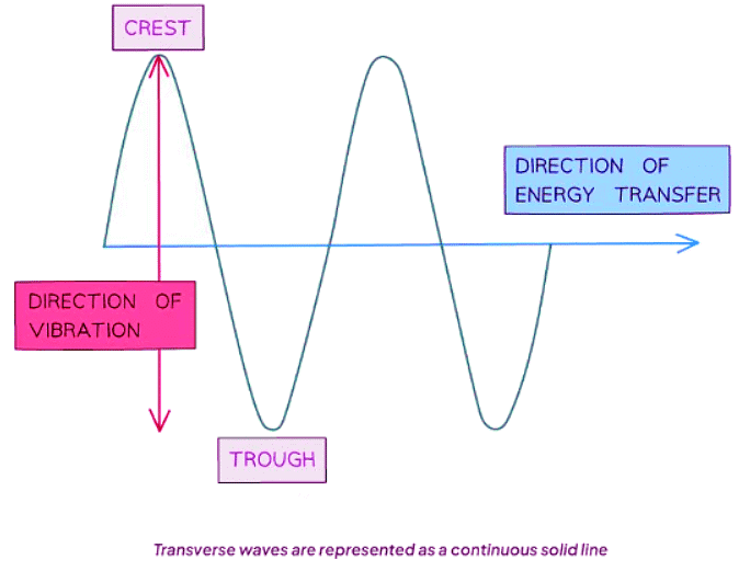 Transverse & Longitudinal Waves | Physics for GCSE/IGCSE - Class 10