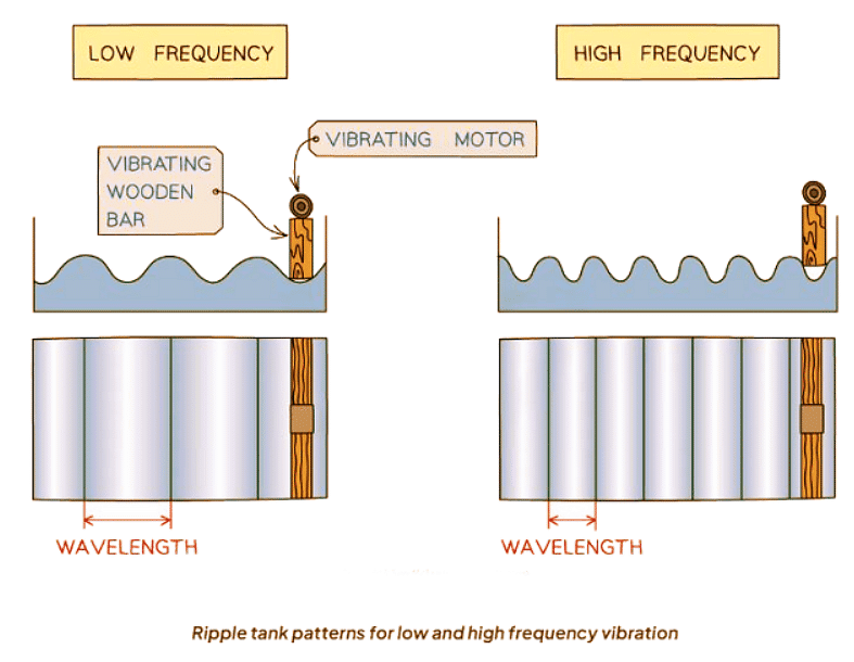 Ripple Tank | Physics for GCSE/IGCSE - Class 10