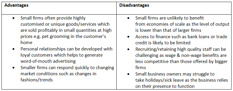 Reasons for Businesses to Remain Small | Business Studies for GCSE/IGCSE - Class 10