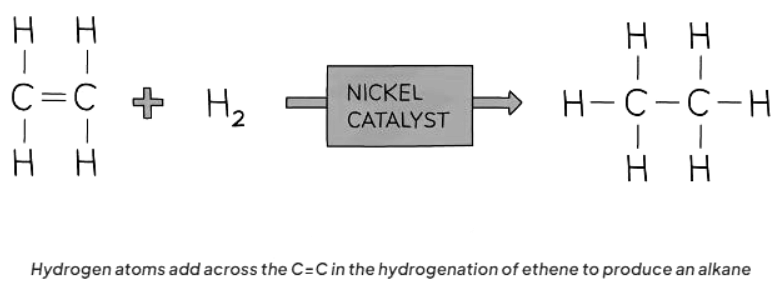 Addition Reactions | Chemistry for GCSE/IGCSE - Class 10