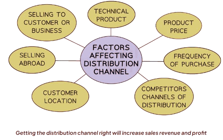 Place: Types of Distribution Channels | Business Studies for GCSE/IGCSE - Year 11