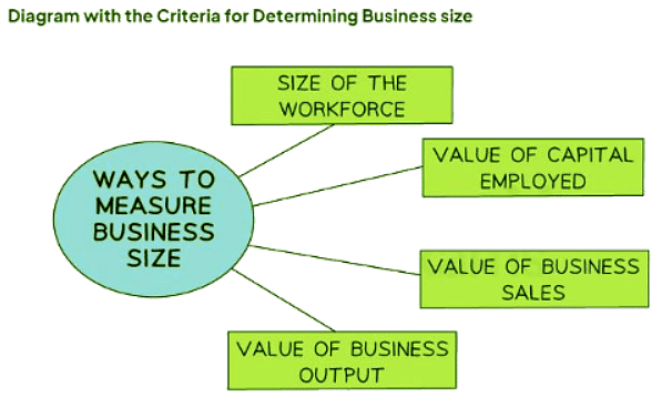 Measuring Business Size | Business Studies for GCSE/IGCSE - Class 10