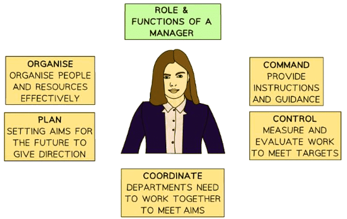 The Role of Management | Business Studies for GCSE/IGCSE - Class 10