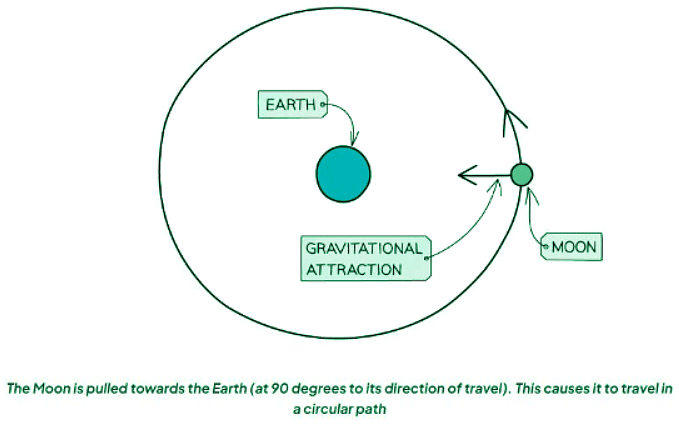 Circular Motion | Physics for GCSE/IGCSE - Class 10