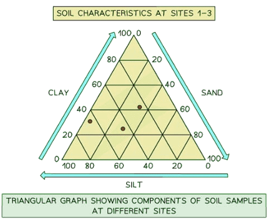 Graphs & Diagrams | Geography for GCSE/IGCSE - Class 10