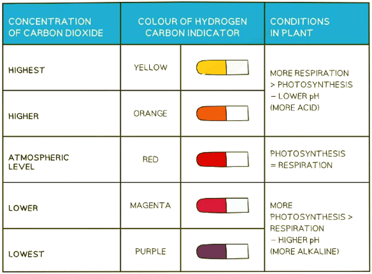 Gas Exchange | Biology for GCSE/IGCSE - Class 10