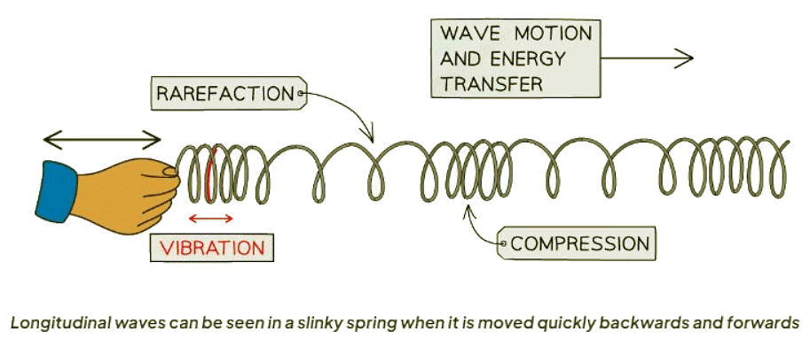 Transverse & Longitudinal Waves | Physics for GCSE/IGCSE - Class 10