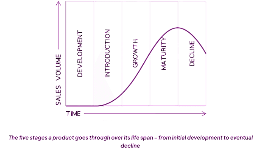Product: The Product Life Cycle | Business Studies for GCSE/IGCSE - Class 10