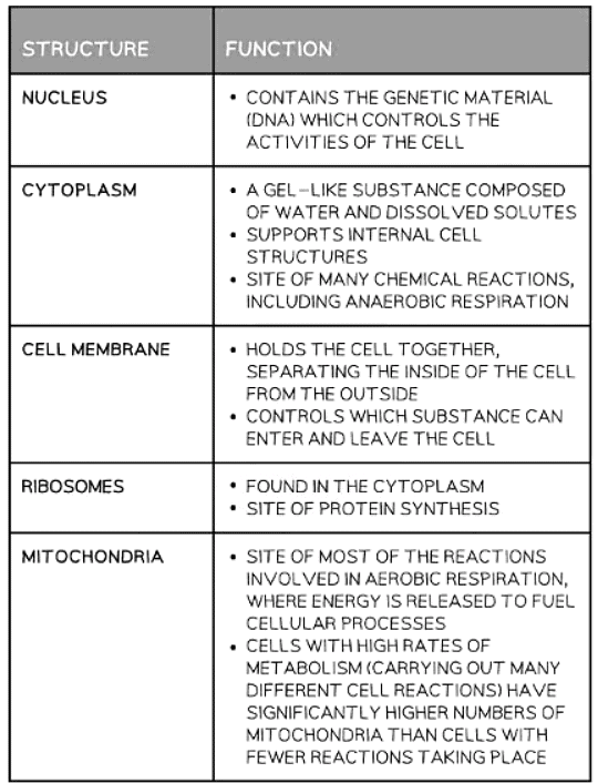 Cell Structure | Biology for GCSE/IGCSE - Class 10