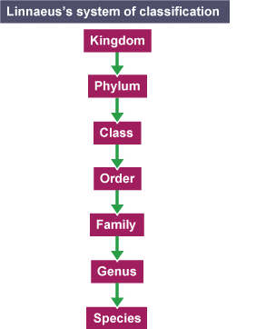 Concept & Uses of Classification Systems - 1 | Biology for GCSE/IGCSE - Class 10