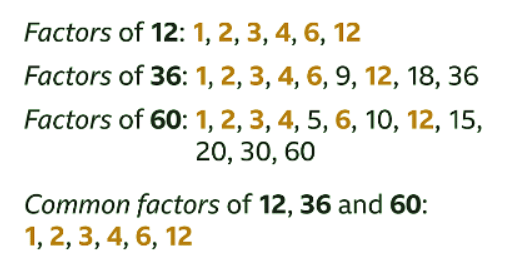 What is a Common Factor? - Year 7