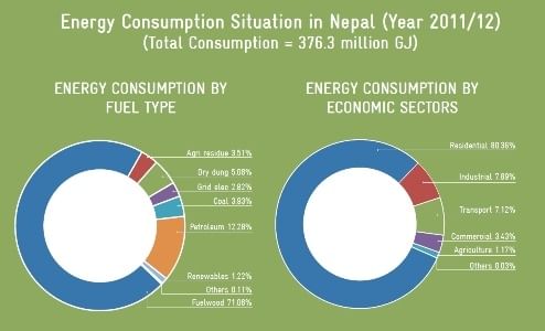 Nuclear Energy & Fuelwood | Geography for GCSE/IGCSE - Class 10