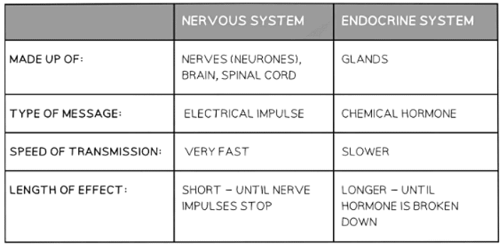 Hormones in Humans | Biology for GCSE/IGCSE - Class 10
