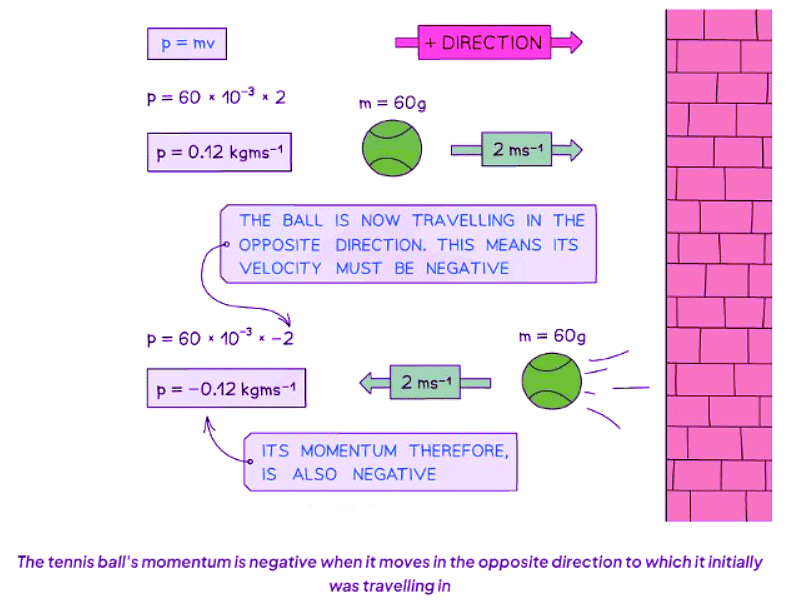 Momentum | Physics for GCSE/IGCSE - Class 10