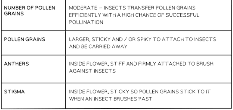 Sexual Reproduction in Plants | Biology for GCSE/IGCSE - Class 10