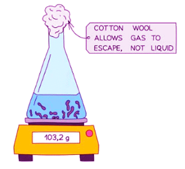 Investigating Rate of a Reaction | Chemistry for GCSE/IGCSE - Class 10