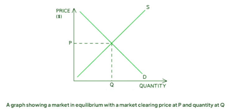 The (Free) Market System | Economics for GCSE/IGCSE - Class 10
