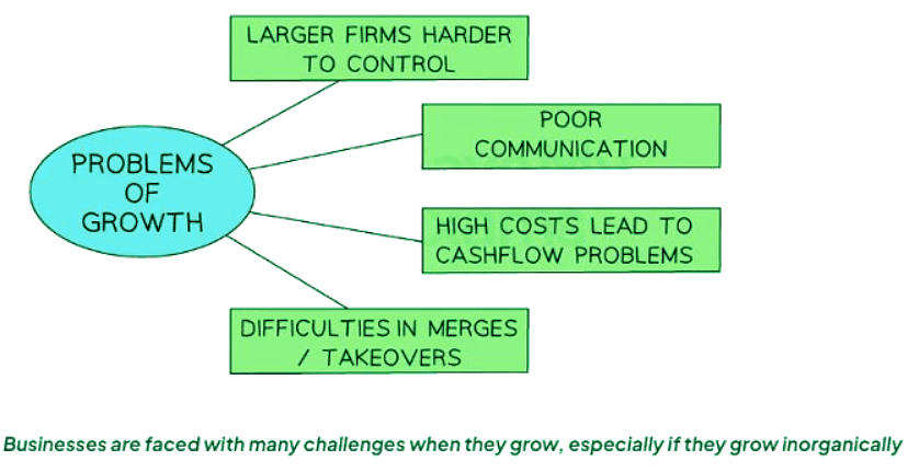 Overcoming Business Growth Issues | Business Studies for GCSE/IGCSE - Class 10