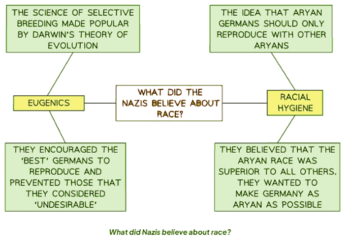 Why were Groups Persecuted in Nazi Germany? | History for GCSE/IGCSE - Class 10