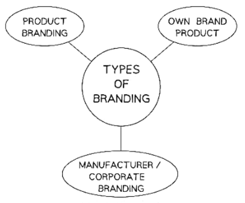 Product: Products & Brand Image | Business Studies for GCSE/IGCSE - Class 10