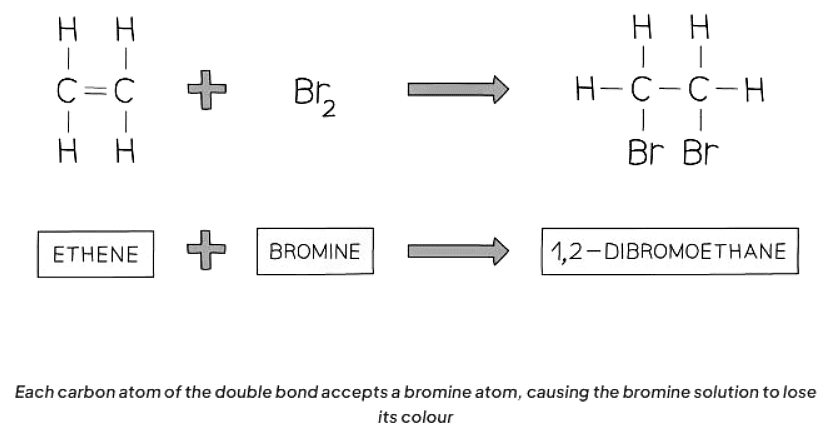Alkenes | Chemistry for GCSE/IGCSE - Class 10