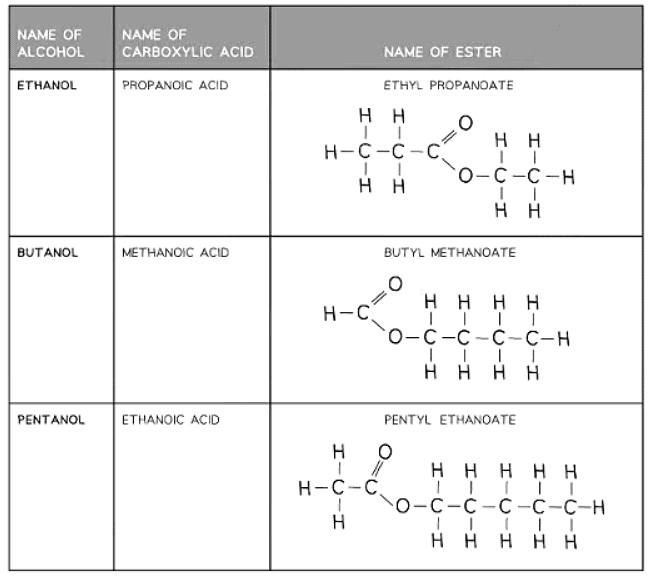 Naming of Organic Compounds | Chemistry for GCSE/IGCSE - Class 10