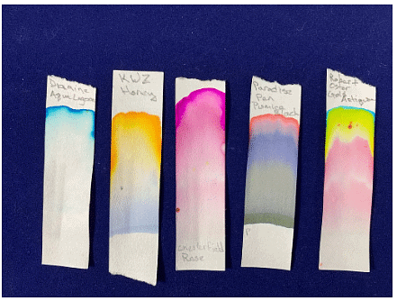 Chromatography - Year 7