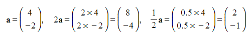 Introduction to Vectors | Mathematics for GCSE/IGCSE - Year 10