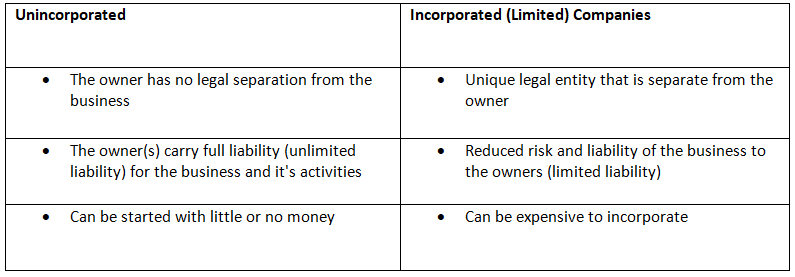 Deciding on the Business Ownership Model | Business Studies for GCSE/IGCSE - Year 11