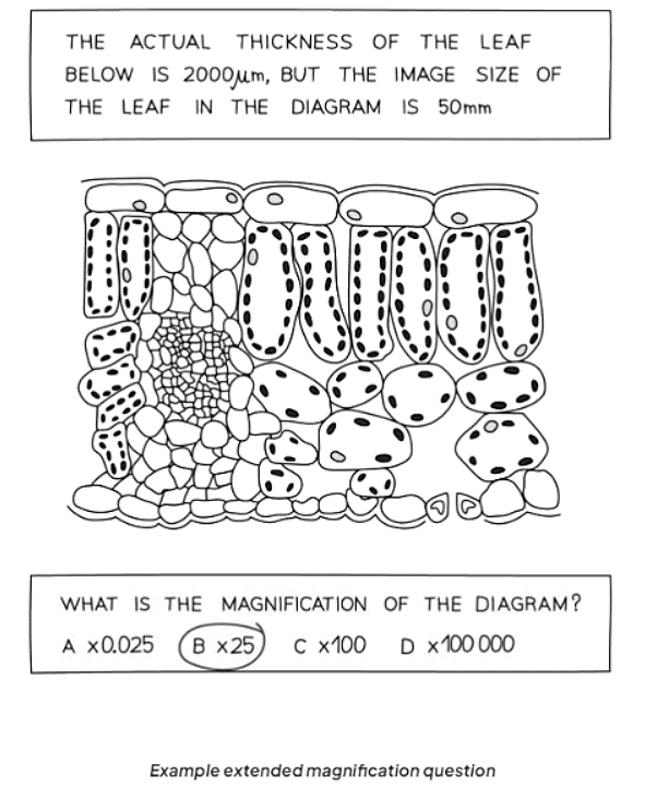 Converting Between Units | Biology for GCSE/IGCSE - Year 11