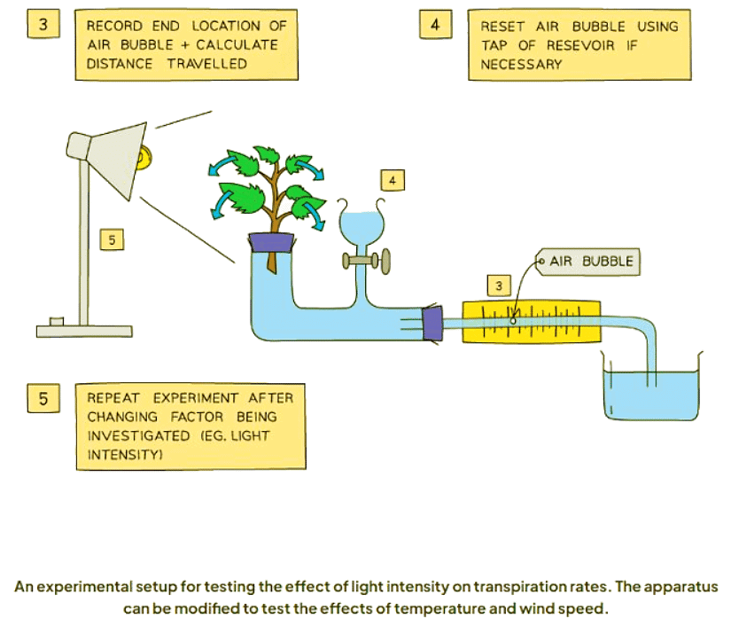 Temperature & Wind Speed | Biology for GCSE/IGCSE - Class 10