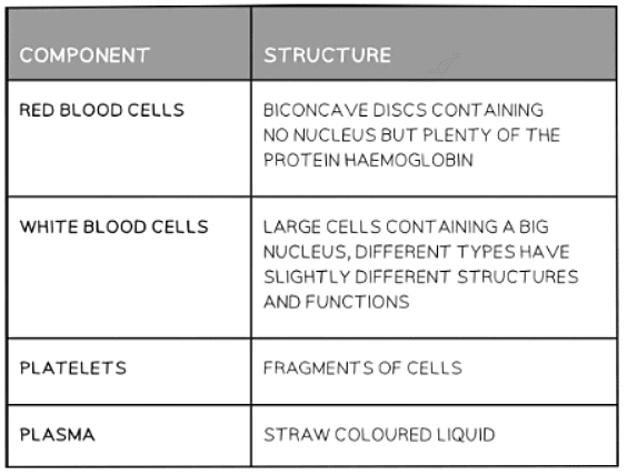 Components of Blood | Biology for GCSE/IGCSE - Class 10