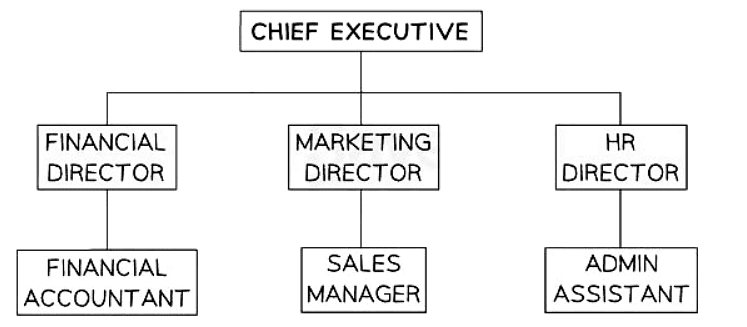 The Role of Management | Business Studies for GCSE/IGCSE - Class 10