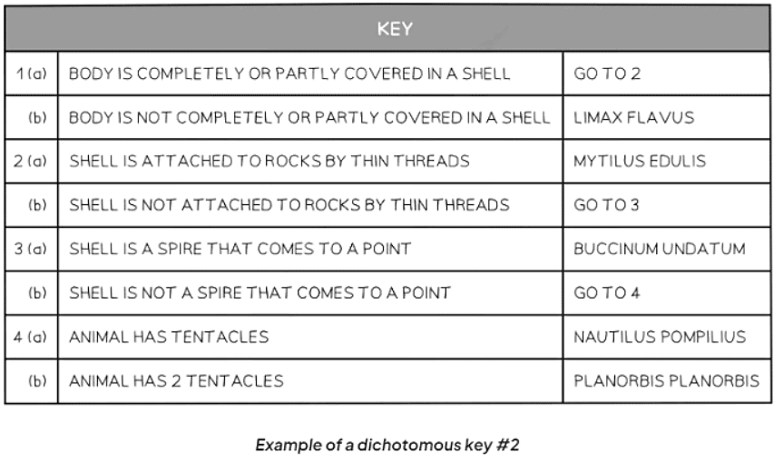 Concept & Uses of Classification Systems - 1 | Biology for GCSE/IGCSE - Class 10