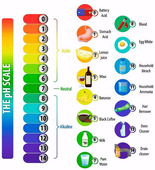 Alkalis | Chemistry for GCSE/IGCSE - Class 10