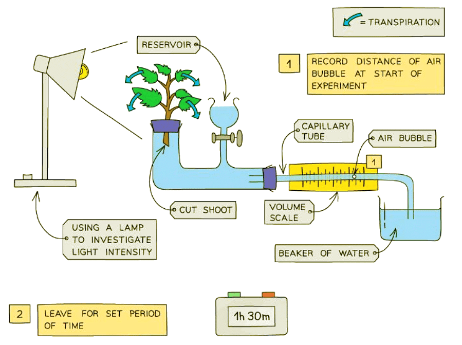 Temperature & Wind Speed | Biology for GCSE/IGCSE - Class 10