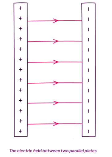 Electric Fields | AP Physics C Electricity and Magnetism - Grade 9