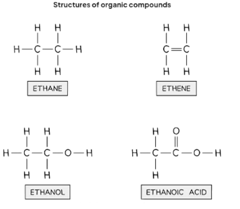 Naming of Organic Compounds | Chemistry for GCSE/IGCSE - Class 10