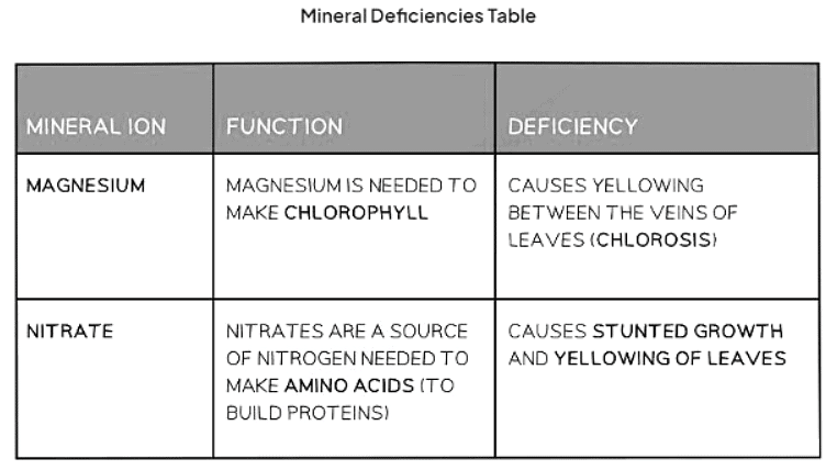 Minerals in Plants | Biology for GCSE/IGCSE - Class 10