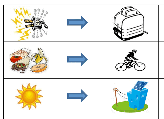Transfer of Energy | Biology for GCSE/IGCSE - Class 10