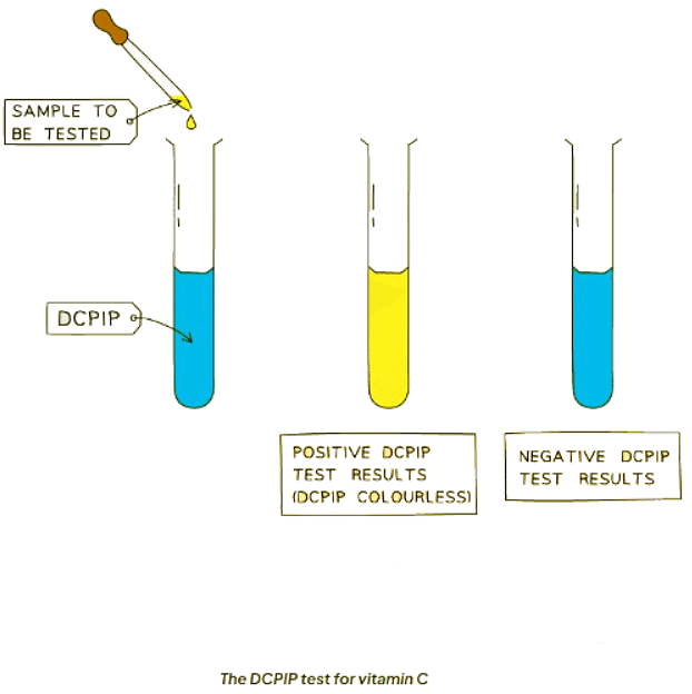 Food Tests | Biology for GCSE/IGCSE - Class 10