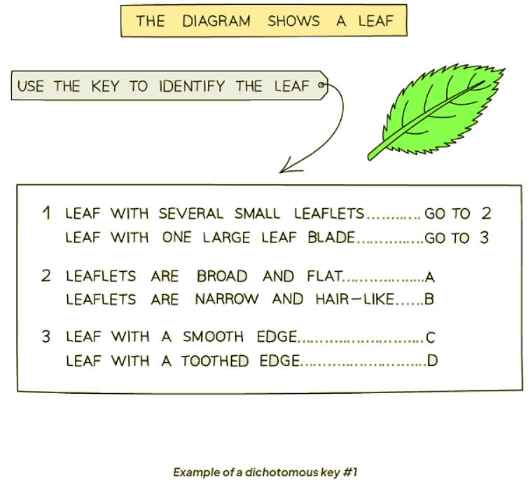 Concept & Uses of Classification Systems - 1 | Biology for GCSE/IGCSE - Class 10