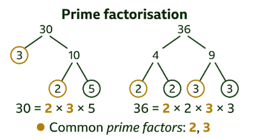 What is a Common Factor? - Year 7