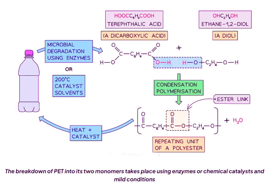 Nylon and PET | Chemistry for GCSE/IGCSE - Class 10