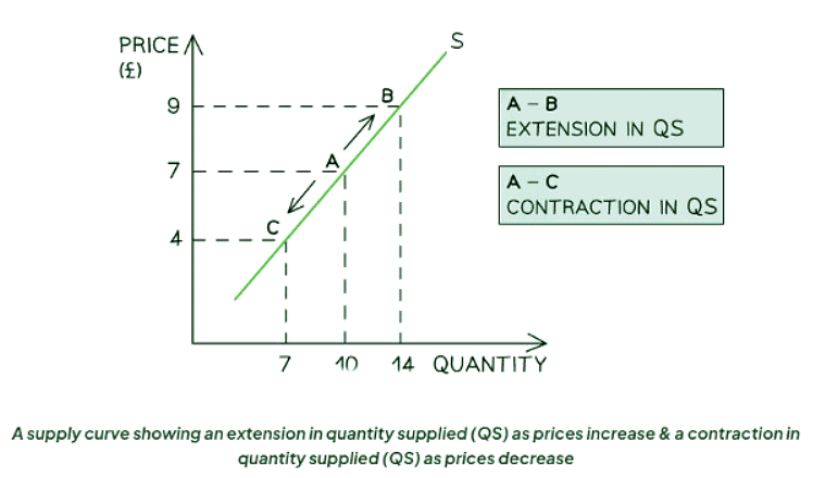 Supply, Price & Quantity | Economics for GCSE/IGCSE - Class 10