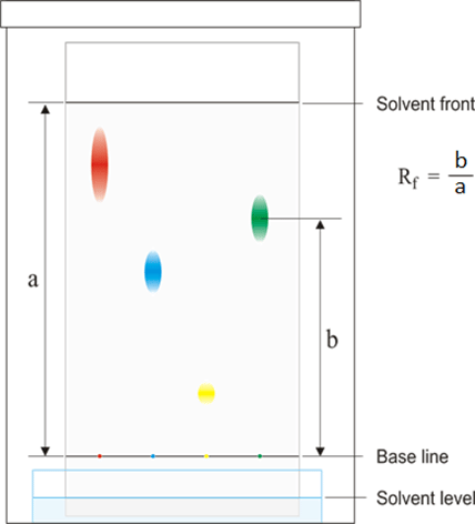Paper Chromatography Using Locating Agents | Chemistry for GCSE/IGCSE - Class 10